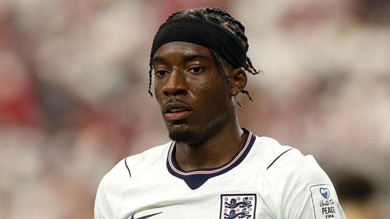 Madueke's Remarkable Season - From Petition to World Cup Starter
